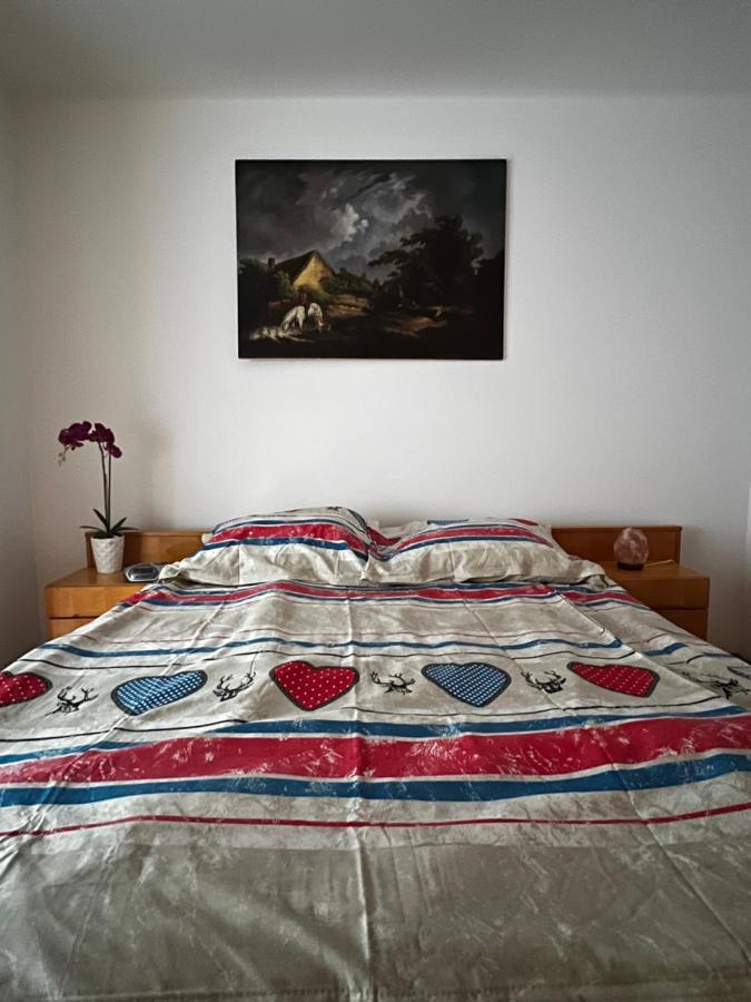 Noreea Central Apartment Timişoara Eksteriør billede