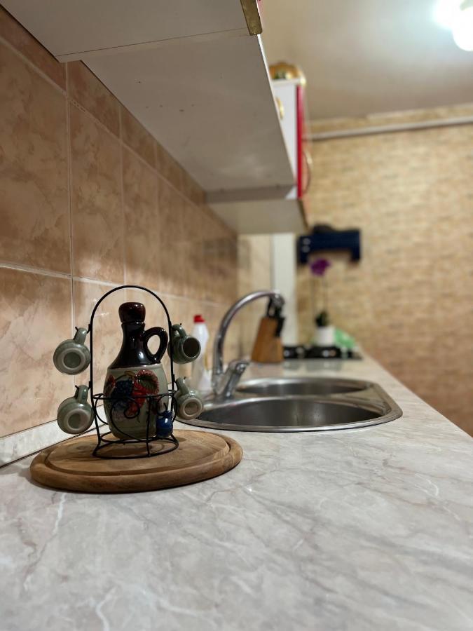 Noreea Central Apartment Timişoara Eksteriør billede