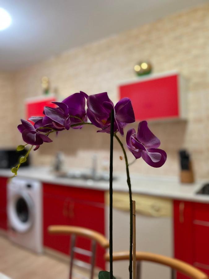 Noreea Central Apartment Timişoara Eksteriør billede